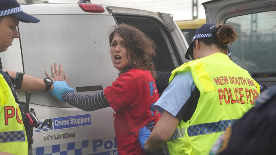 Deanna "Violet" Maree Coco protest.