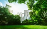 city garden with trees