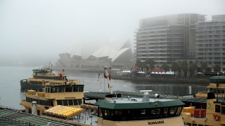 sydney ferry fog