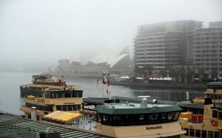sydney ferry fog