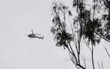 nt plane crash