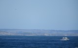 Missing swimmer search