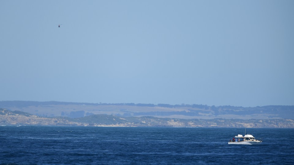 Missing swimmer search