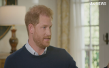 pictured is Prince Harry