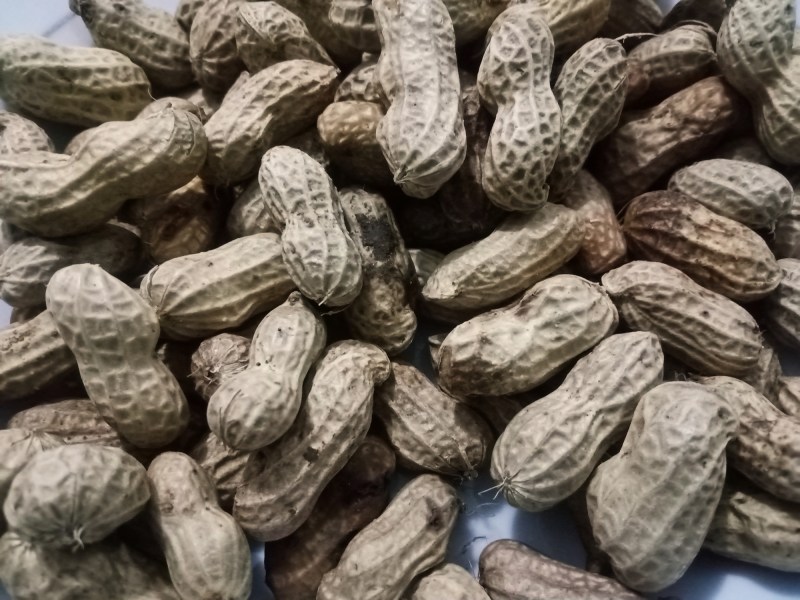 boiled peanuts