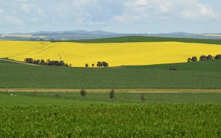 agricultural snapshot