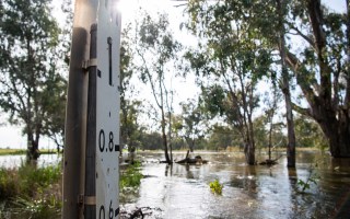 Flood system