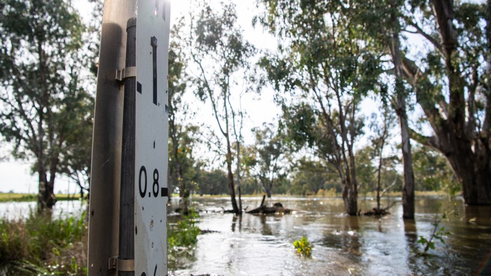 Flood system