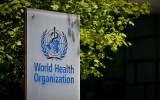 Pictured is the World Health Organisation logo