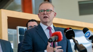 Albanese nsw election