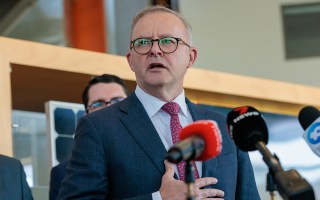 Albanese nsw election