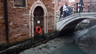 Venice canals