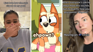 Bluey ehpowt