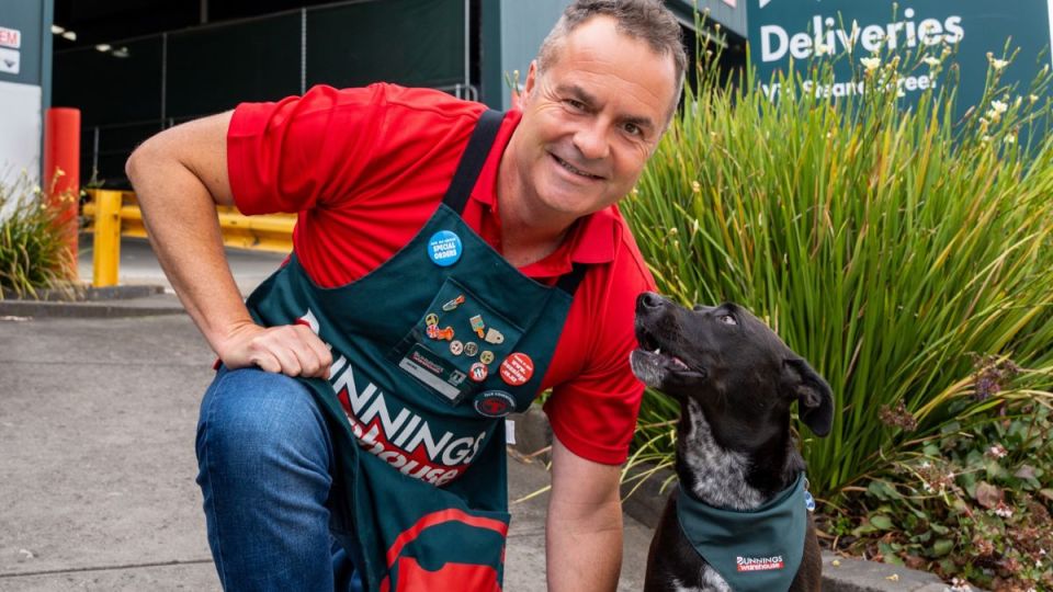 bunnings pet care