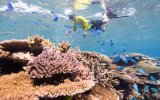 Great Barrier Reef