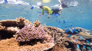 Great Barrier Reef