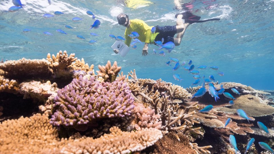 Great Barrier Reef