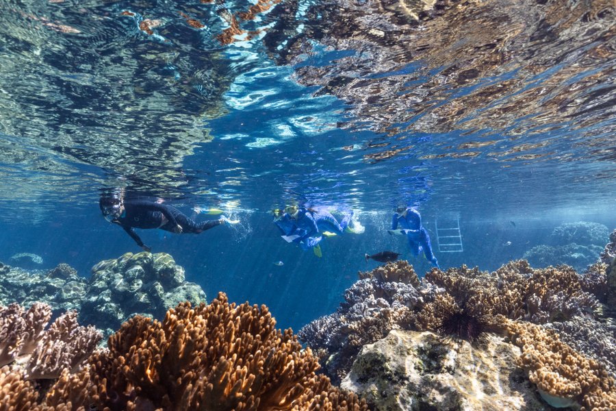 Great Barrier Reef