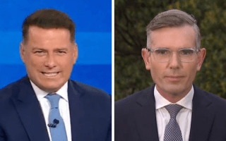 Karl Stefanovic Dominic Perrottet