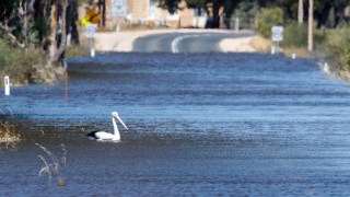 South Australia floods