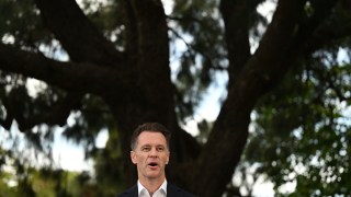 nsw election