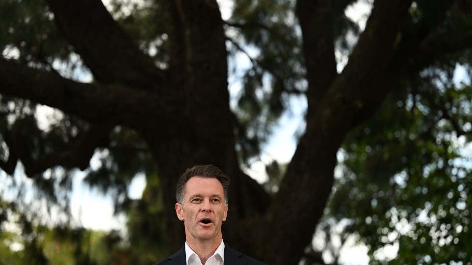 nsw election
