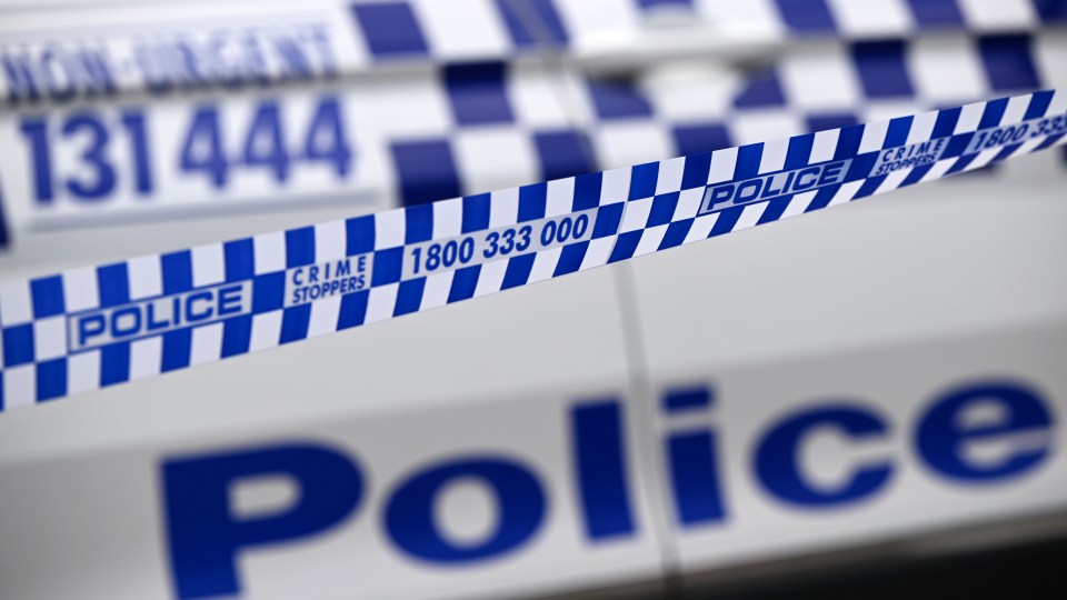 DV arrests