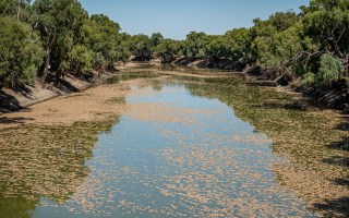 Menindee Minns