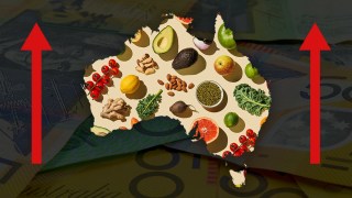 food prices