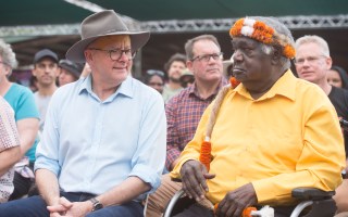 Yunupingu
