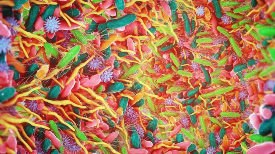microbiome