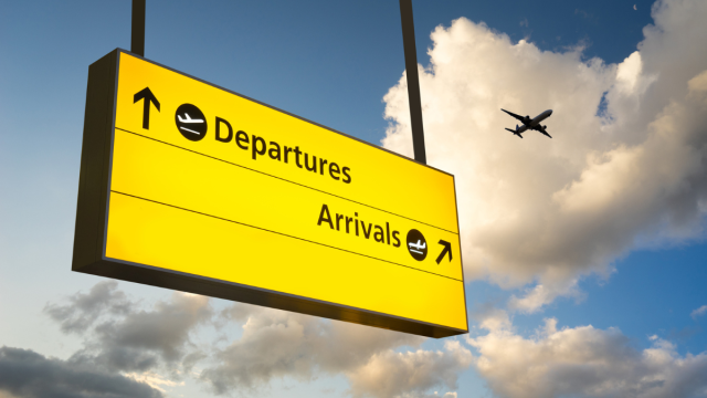 A cargo plane with a horse heading to Belgium had to return to John F Kennedy International Airport.