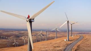 renewable energy