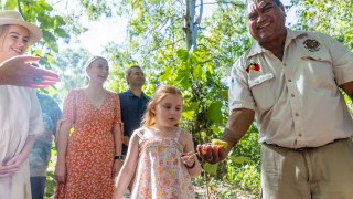 Gudjuda Aboriginal Tours, Townsville