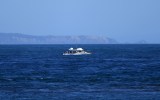 Missing man search