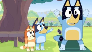 bluey fat phobic