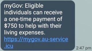 budget scam texts