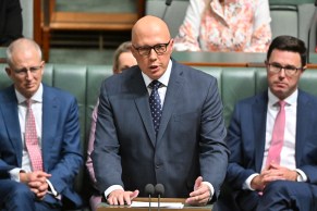 Dutton Voice