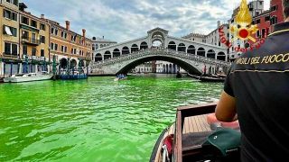 Venice green