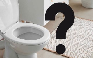 toilet