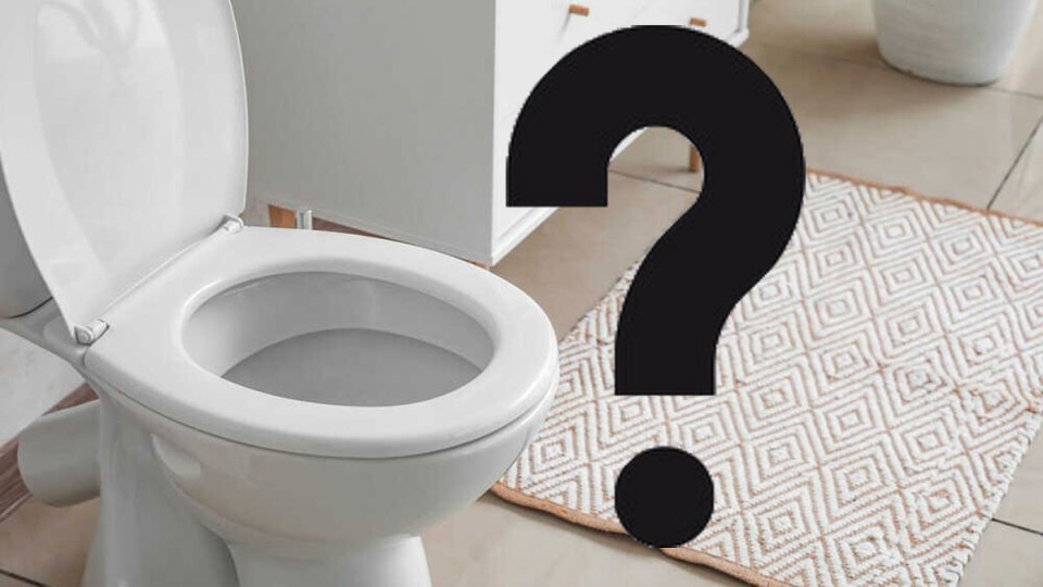 toilet