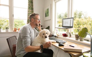 work from home
