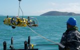 Taipan crash search