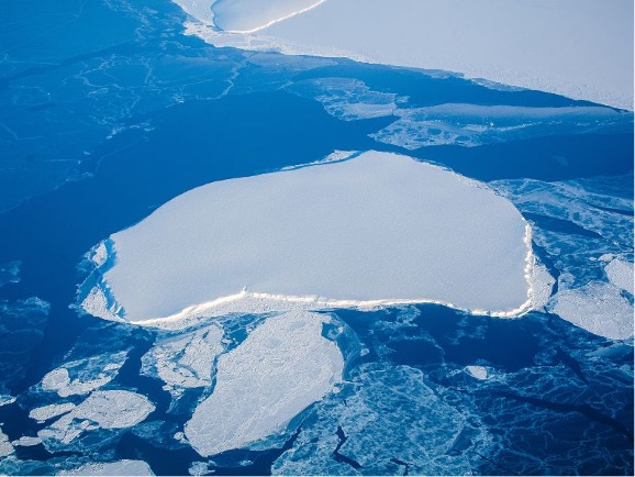 Antarctica Flight