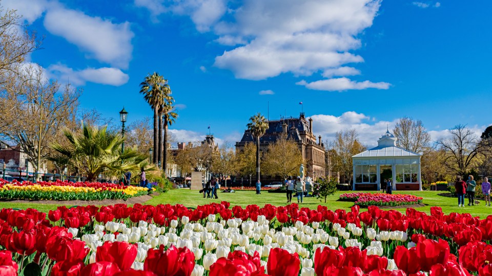 Bendigo Bloom