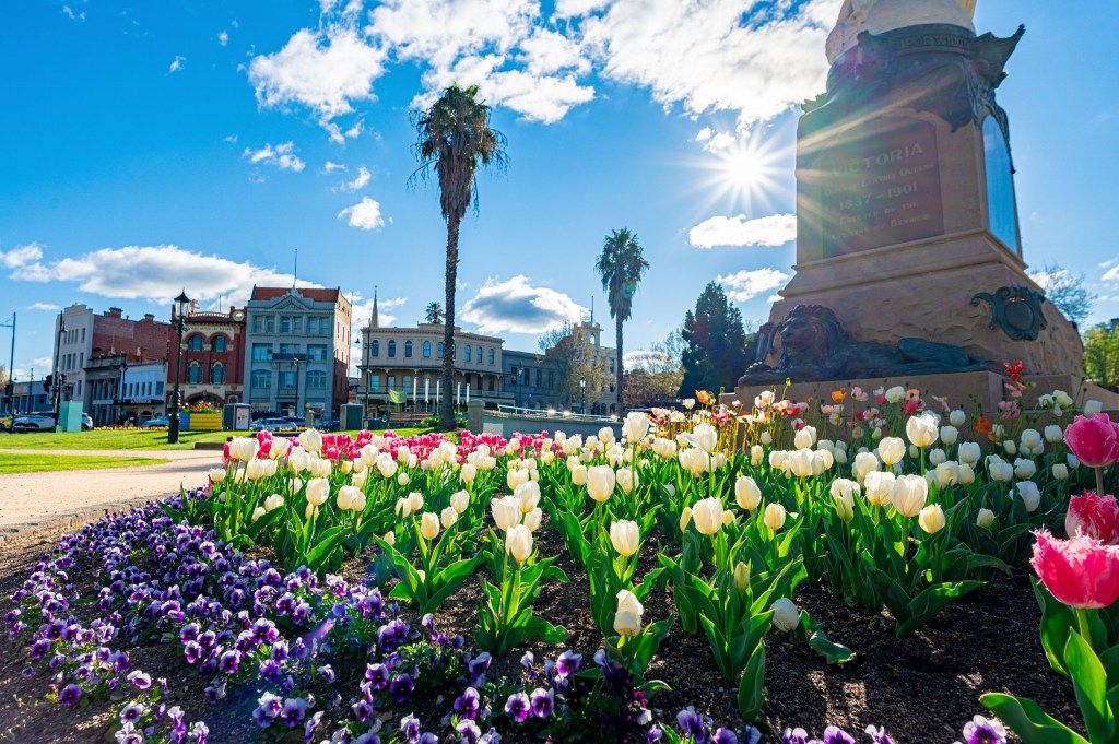 Bendigo Bloom