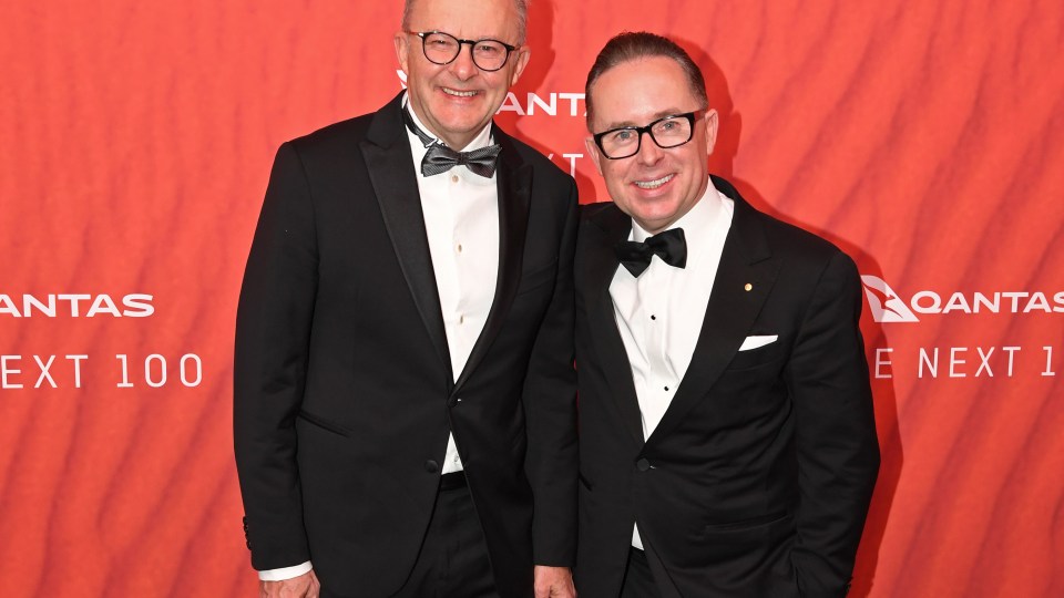 albanese alan joyce