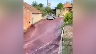 portugal wine river