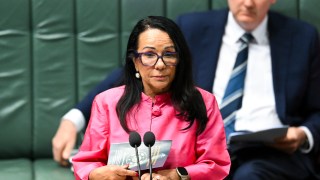 voice division chalmers