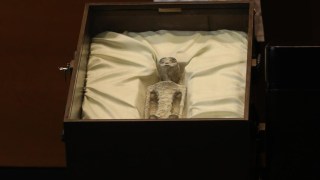Mexico alien